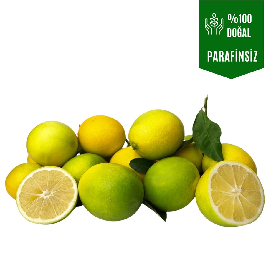 100 Kg Mayer Limon  Bol Sulu Parafinsiz / Doğal