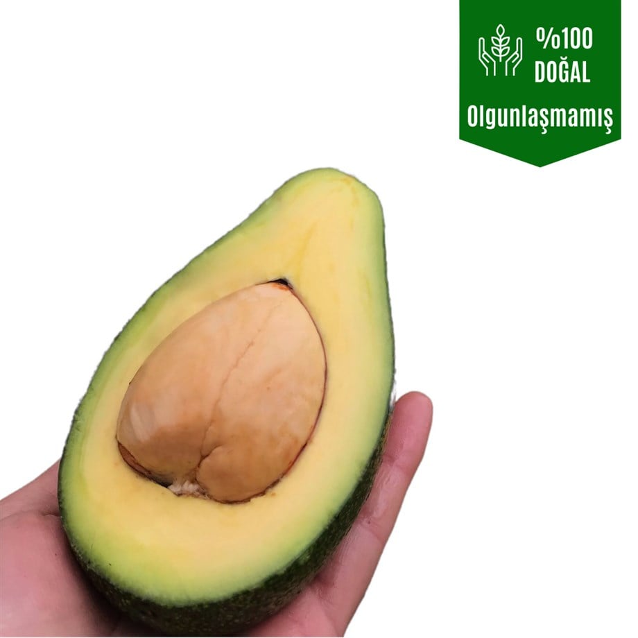 Avokado 1 Adet