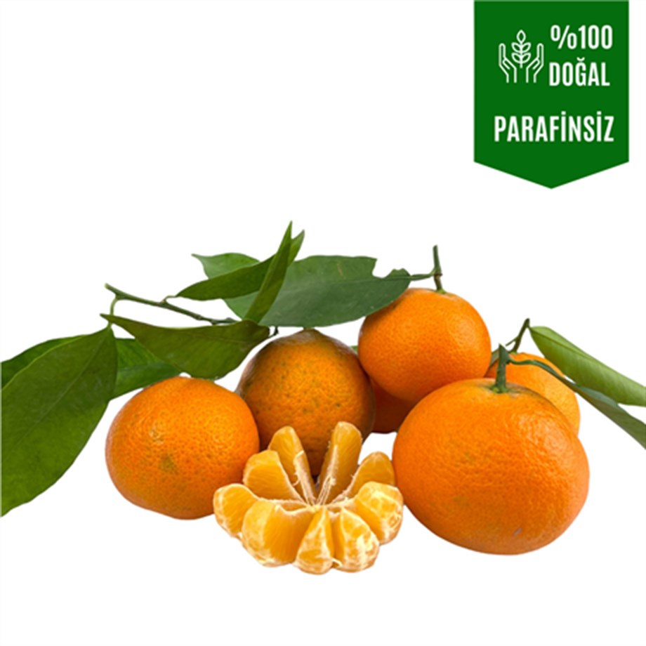 Kanlı Mandalina