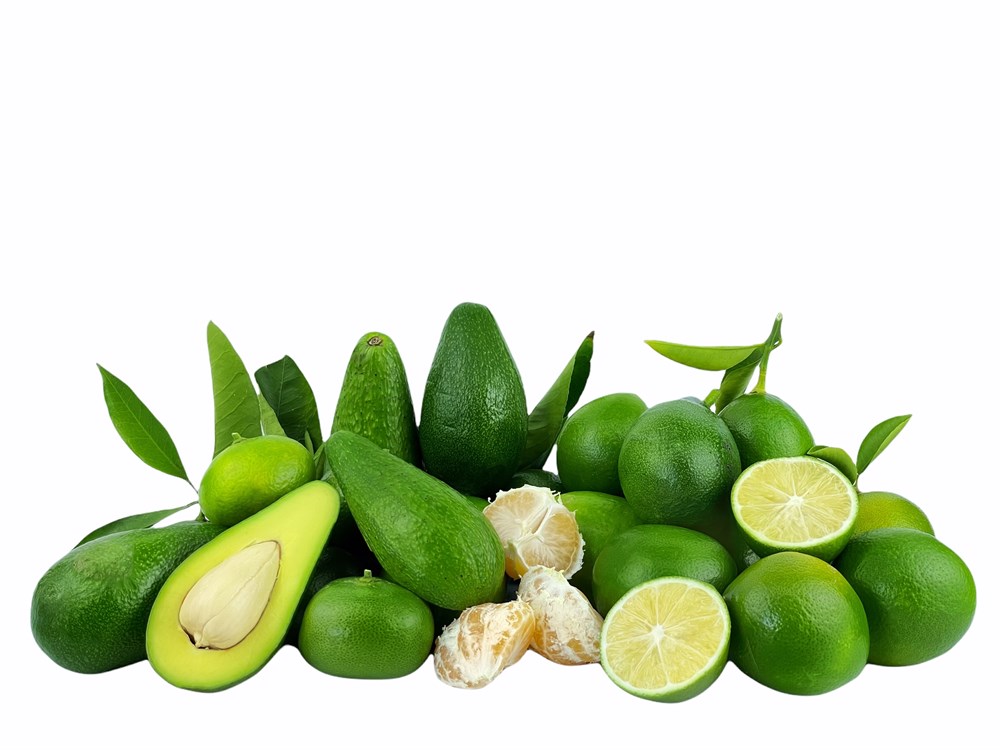 Limon 2 Kg / Avokado 1 Kg / Mandalina 1 Kg