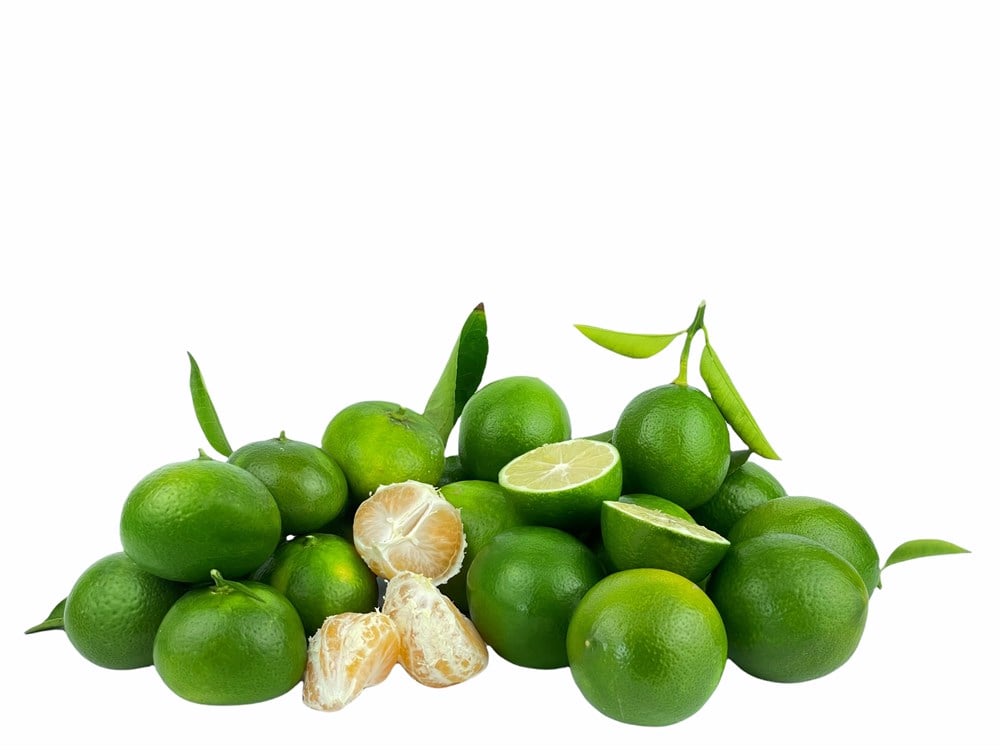 Limon 2 Kg / Mandalina 2 Kg