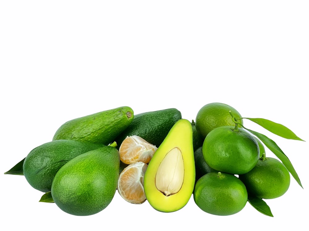 Mandalina 2 Kg / Avokado 2 Kg