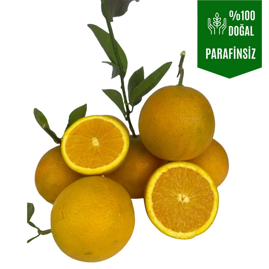 Sıkmalık portakal 1 Kg