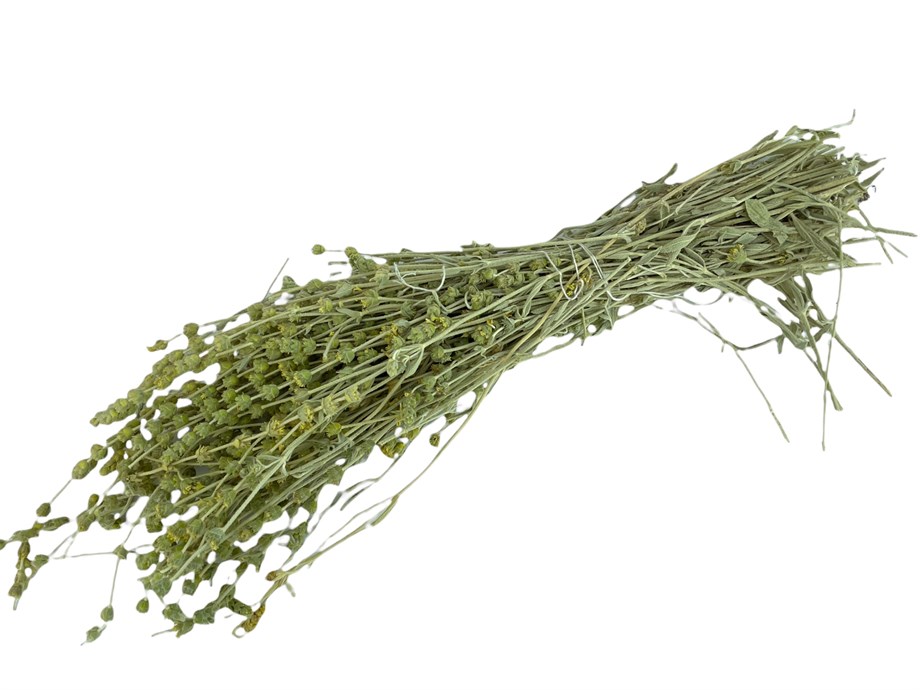 Toros Dağları Adaçayı