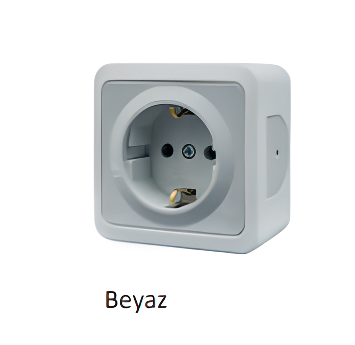 92-XX-21-D1 Tekli Data Prizi [Cat 5]