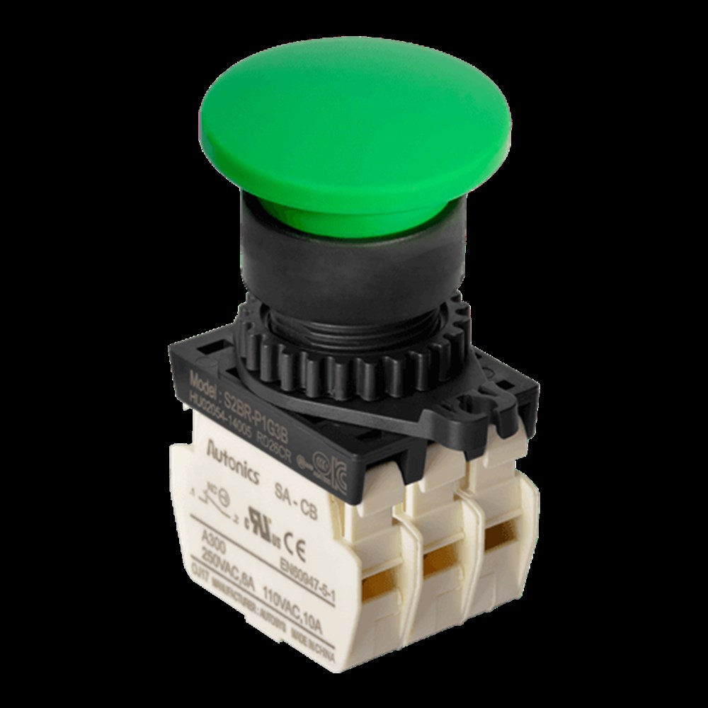 Autonıcs S2BR-P1G3B