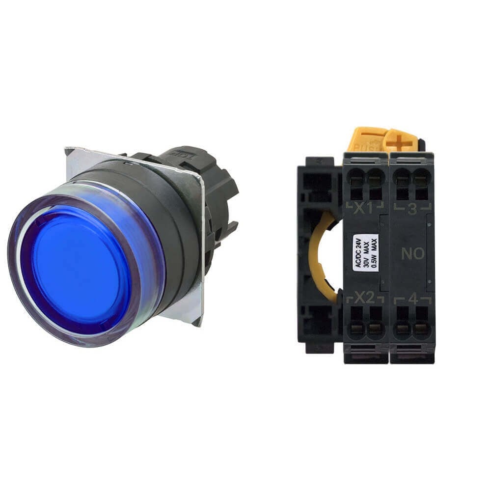 Omron A22NK-BGM-TAA-P100-AC
