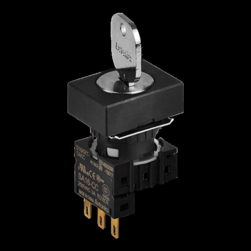 Autonıcs S16KRT-2AKC