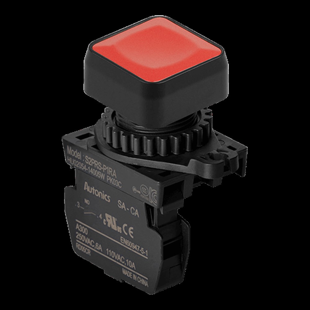 Autonıcs S2PRS-P1RAM