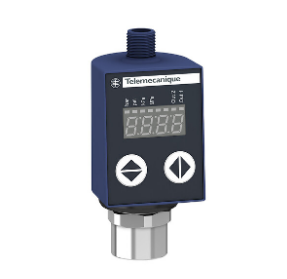 TELEMECANIQUE SENSORS XMLR010G2P25 Basınç Transmitteri