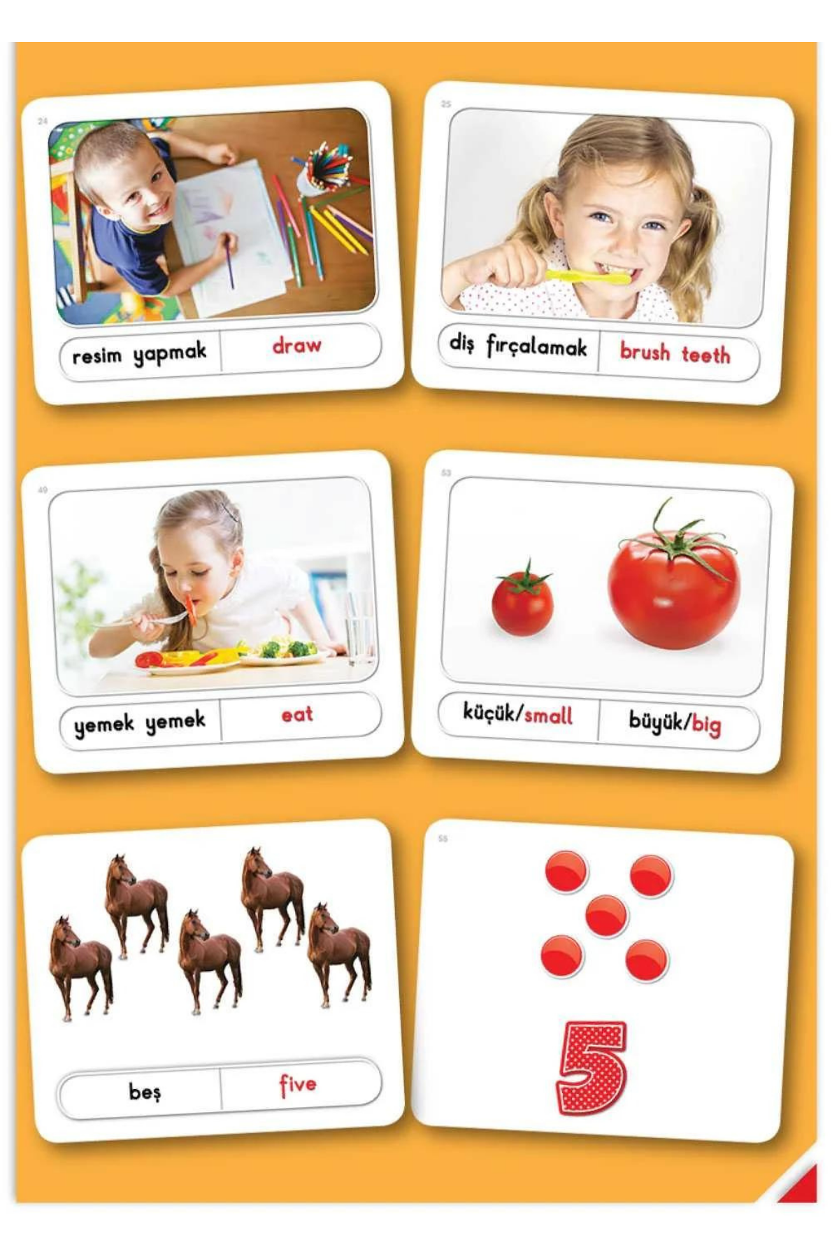 16-48 Ay Bebek Kavram Kartları – Konuşmayı Geliştiren Kartlar