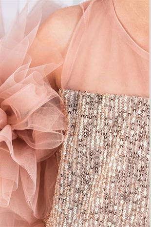 Tak Çıkar Kol Detay Payetli Fiyonklu Toka Dahil Elbise Somon