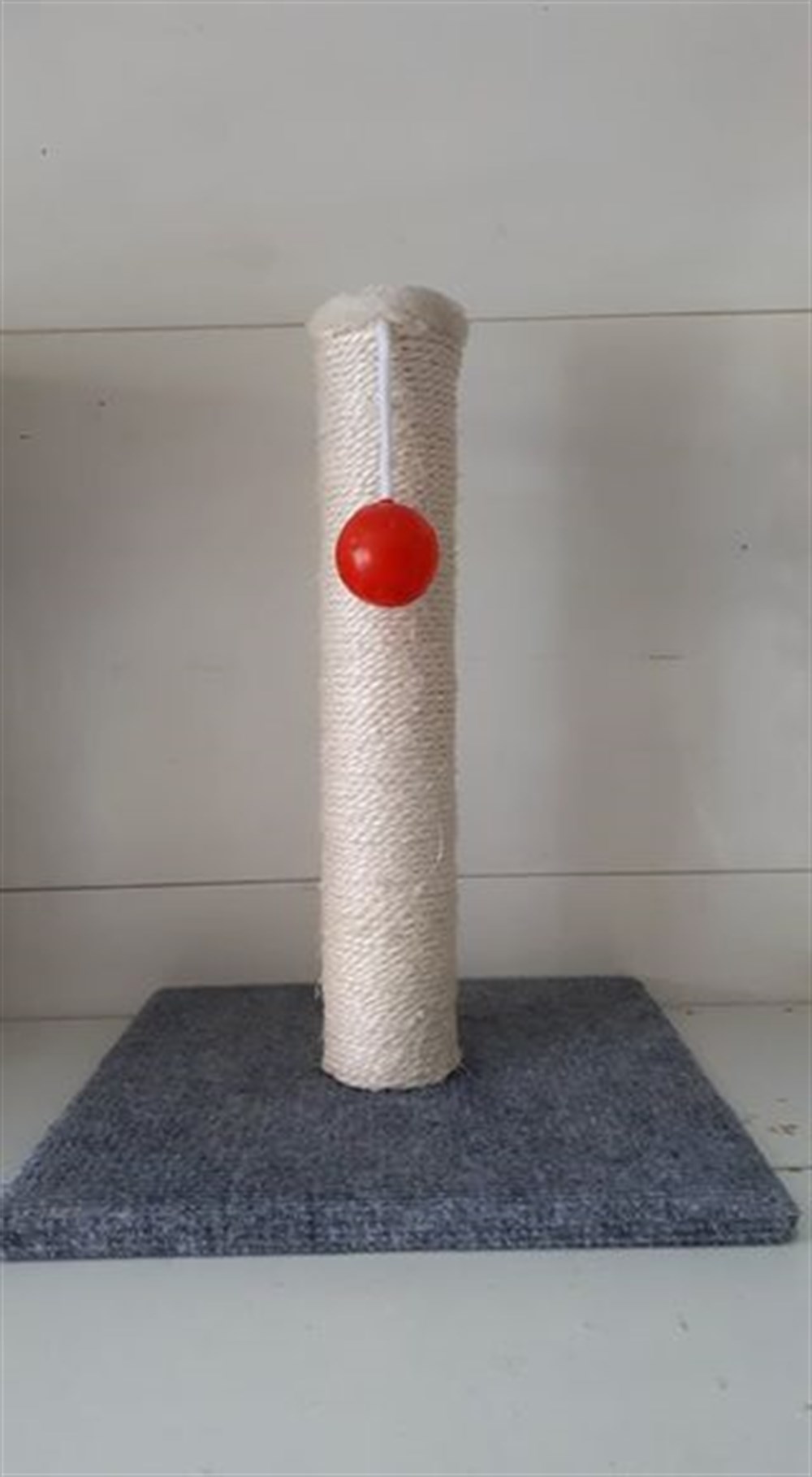 62687-29 Kedi Tirmalama