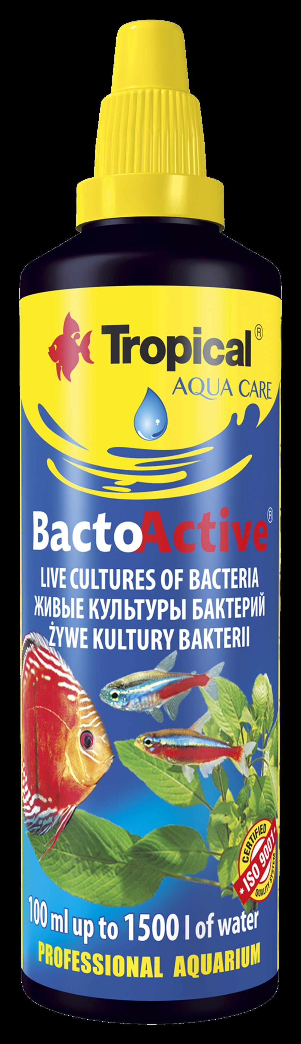 Bacto-Active 100 ml