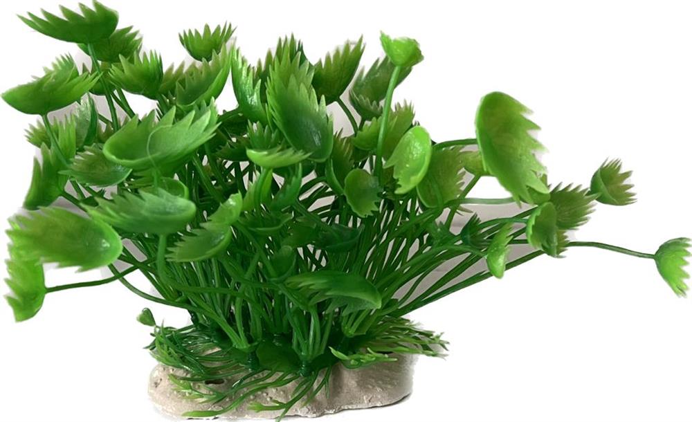 COLI1435 Plastik Bitki 