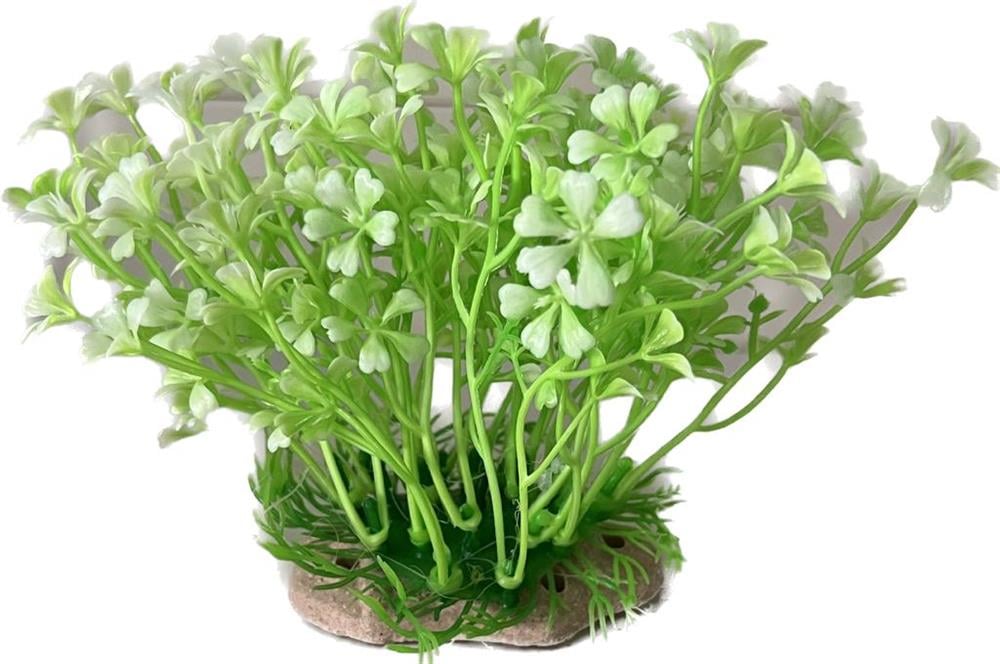 COLI1441 Plastik Bitki 