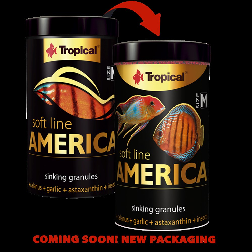 Soft Line America M 100 ml 60 gr