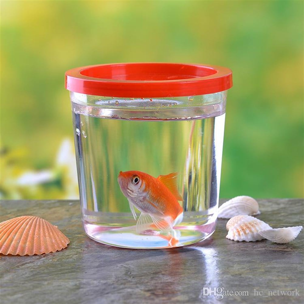 62680-7 Betta Kabı