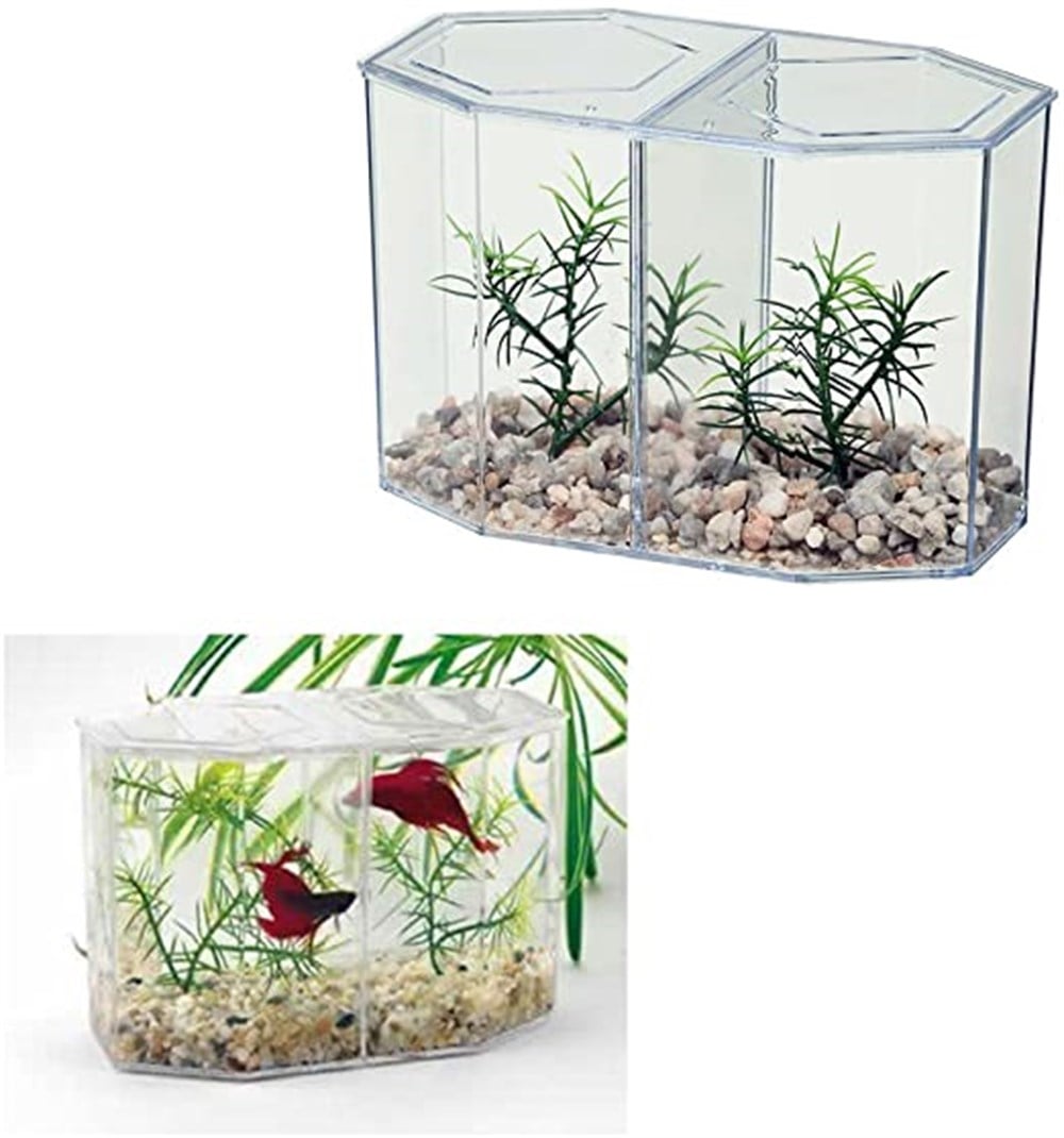 62680-9 2 Bölmeli Betta Kabı