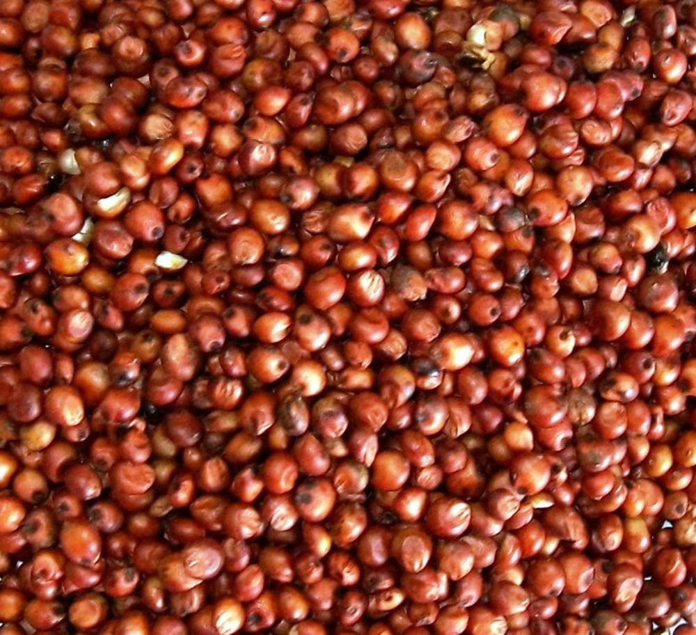 Red Sorgum 750 gr