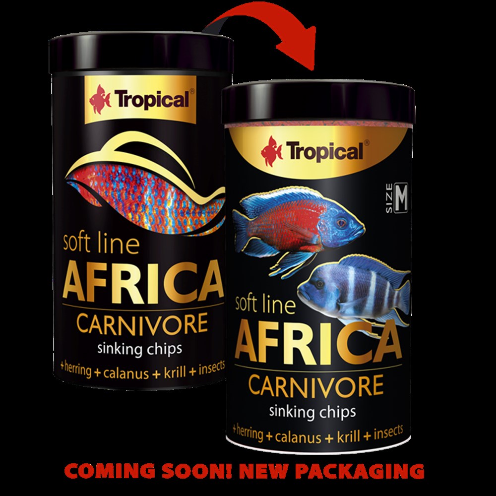Soft Line Africa Carnivore M 100 ml 52 gr