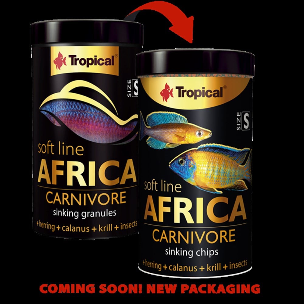 Soft Line Africa Carnivore S 250 ml 150 gr