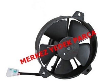 HARLEY DAVIDSON MUSCLE FAN