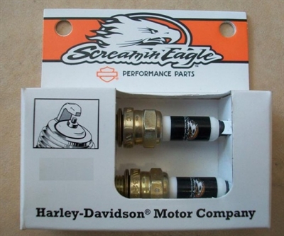 HARLEY DAVIDSON SOFTAIL IRIDIUM BUJİ (99-19)