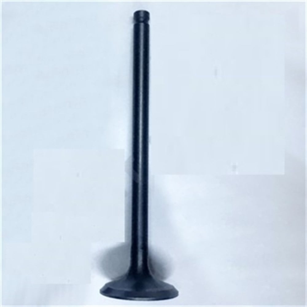 SUZUKI DL250 EGZOZ SUBAP