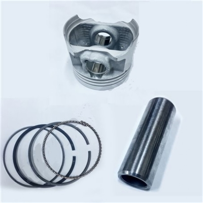 SUZUKI INAZUMA PİSTON SEGMAN TK