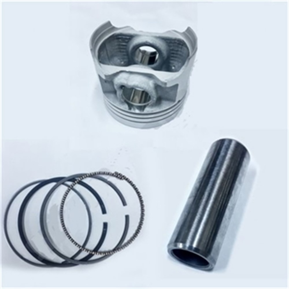 SUZUKI DL250 PİSTON SEGMAN TK