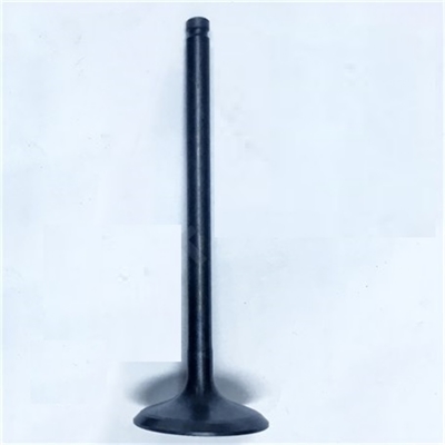 SUZUKI INAZUMA EMME SUBAP