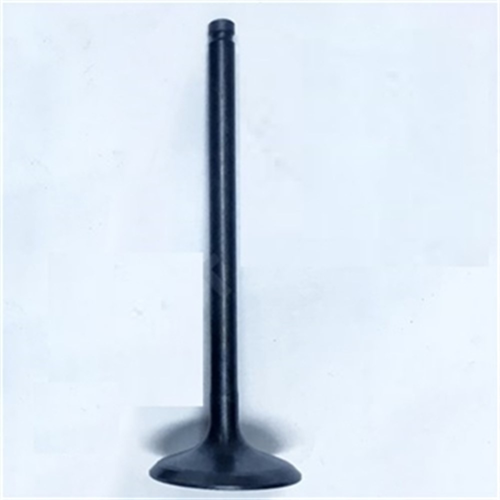 SUZUKI DL250 EMME SUBAP