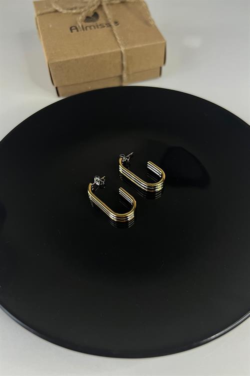 İki Renkli Gold-Silver Kaplama Düz Çelik Küpe