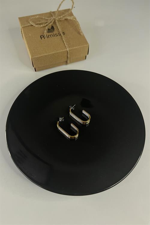 İki Renkli Gold-Silver Kaplama Düz Çelik Küpe