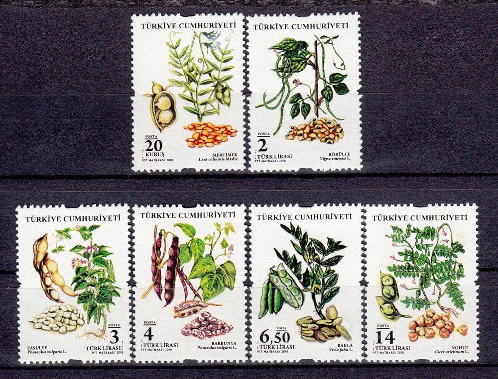 1263 Baklagiller Posta Pulları