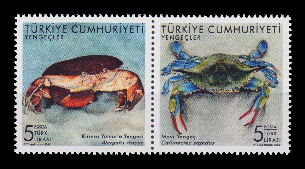 1390-YENGEÇLER