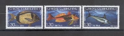 1064 Denizlerimizdeki Balıklar