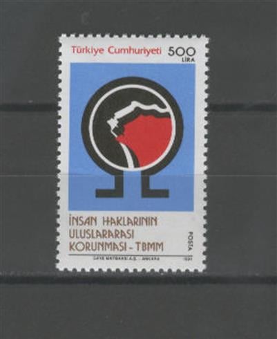 0710 İnsan Haklarının Uluslararası Korunması - TBMM