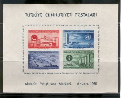 0095 Birleşmiş Milletler Akdeniz Yerleştirme Merkezi - FAO-Özel Blok Dantelsiz