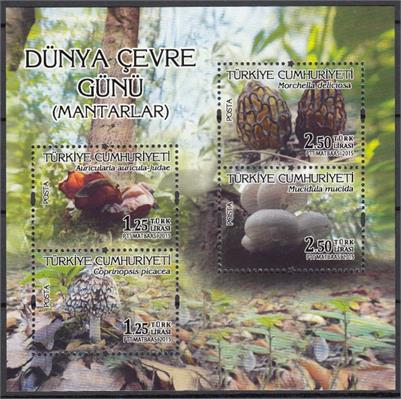 1183 Dünya Çevre Günü - Mantarlar