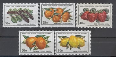 0008 İhraç Ürünleri