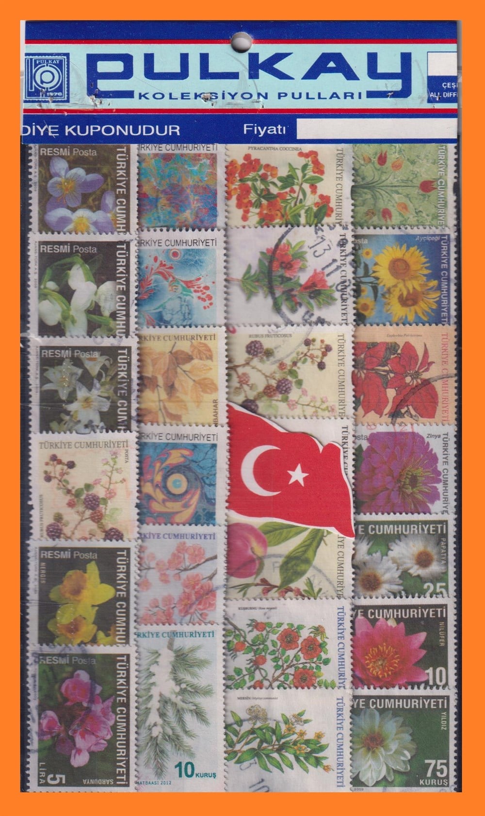 LUX (.Lx.) 25 ÇEŞİT TÜRK - ÇİÇEK