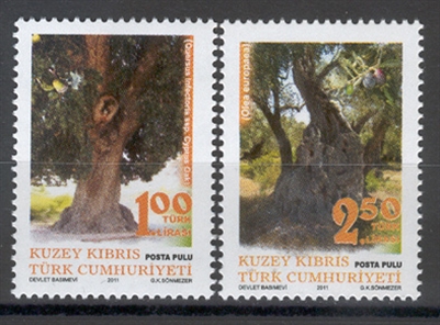 0276 Asırlık Ağaçlar