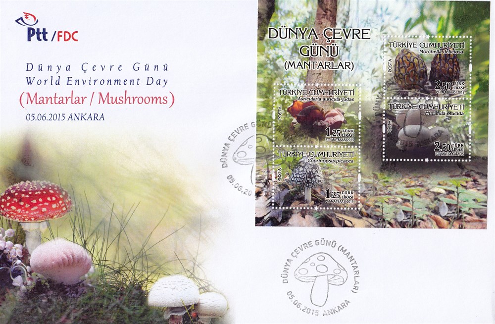 1183 Dünya Çevre Günü-Mantarlar 