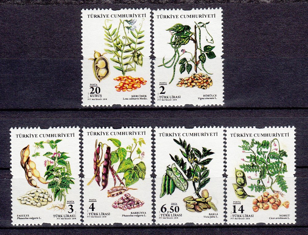 1263 Baklagiller Posta Pulları