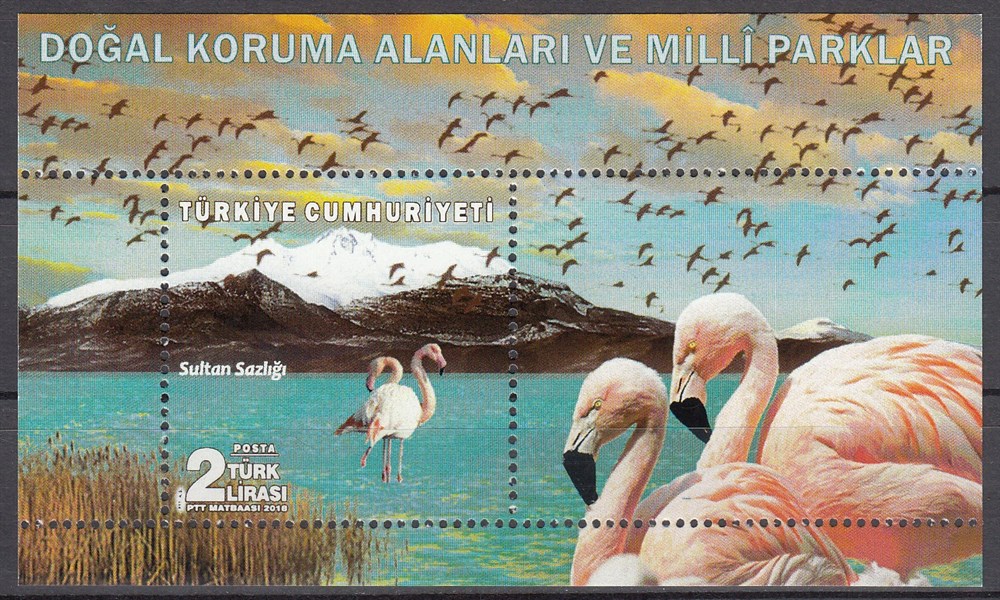 1291-Doğal Koruma Alanları ve Milli Paklar