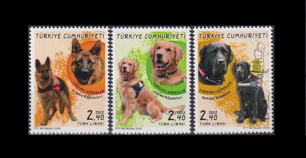 1331-Yardımcı Köpekler