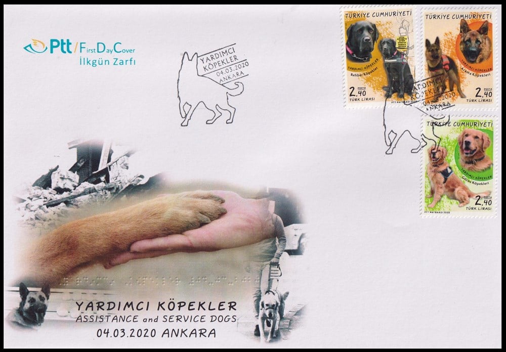 1331-yardımcı Köpekler