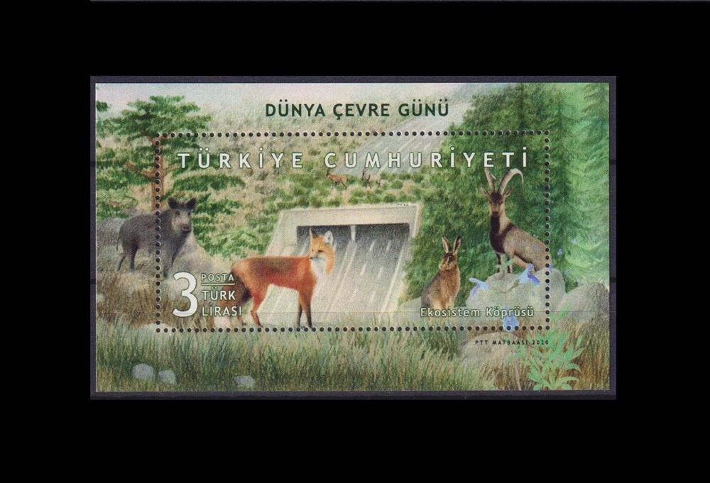 1338-Dünya Çevre Günü